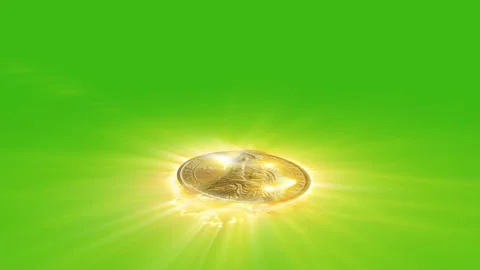 Coin 7 Stock Footage 261430622