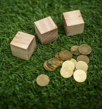 Coin on box Stock Photos