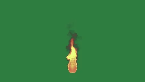 Coin Burning On Chroma Key For Compositing 库存影片 338014310