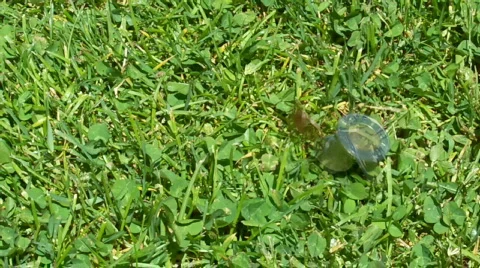 Coin Stock Footage 445932