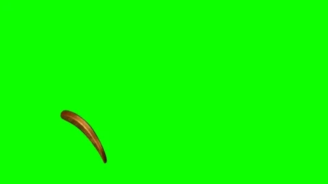 Coin. Stock Footage 116878764