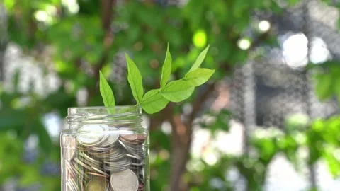 Coin in glass with small tree inside Stock-Footage 150168395