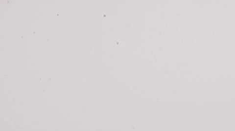 Coin Group 1 Stock Footage 23138435