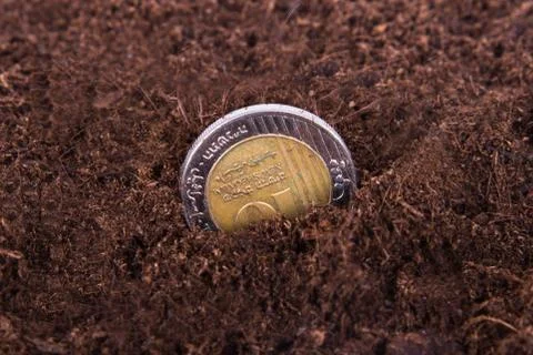 Coin growing in soil Stock Photos