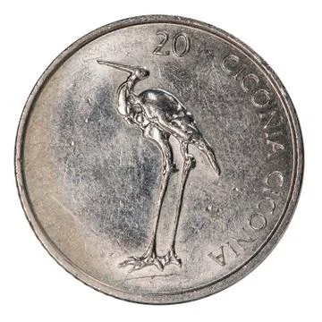 Coin, isolated Stock Photos