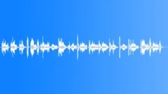 COIN PENNY MULTIPLE MOVE WOOD01Sound Effect