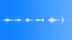 COIN PENNY MULTIPLE MOVE WOOD02Sound Effect