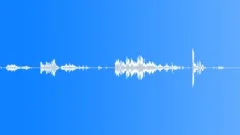 COIN PENNY MULTIPLE MOVE WOOD04Sound Effect