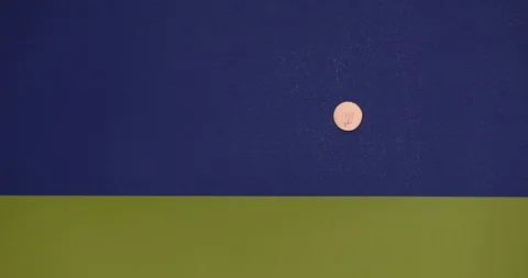The coin is planted in the ground with which the house and the tree. Stock Footage 120307076
