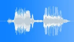 Coin PouchSound Effect