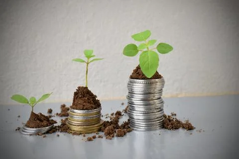 Coin stack money saving concept. green leaf plant growth on rows of coin on w Stock Photos