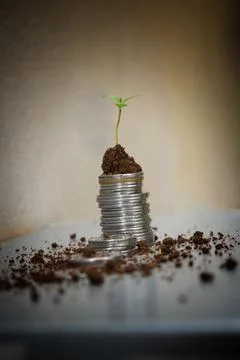 Coin stack money saving concept. green leaf plant growth on rows of coin on w Foto stock