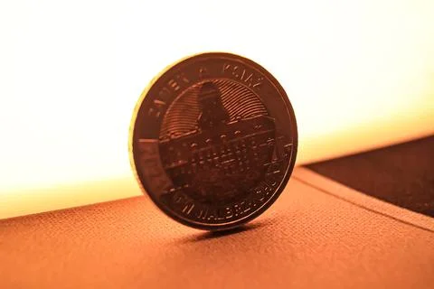 Coin standing in warm sunset light Stock Photos