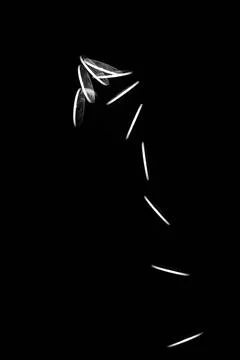 Coin toss Stroboscopic effect created using flash capturing the motion of ... Stock Photos