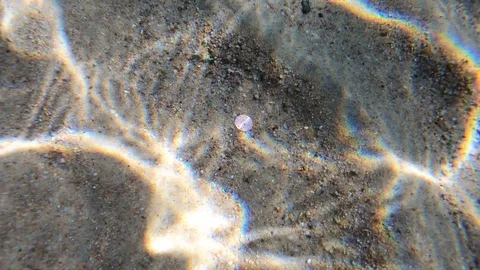 Coin under water Video stock 128391253