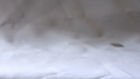 Coin on white background slow motion concept video. Stock Footage 106236621