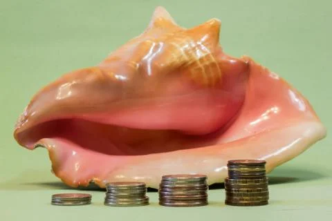 Coins on the background of seashells Stock Photos