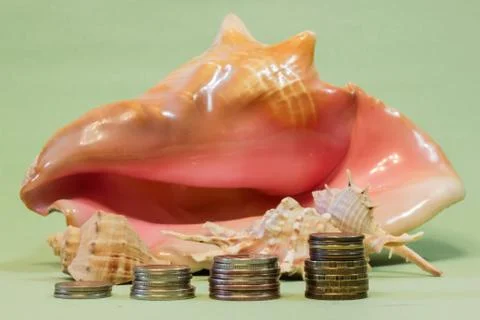 Coins on the background of seashells Stock Photos
