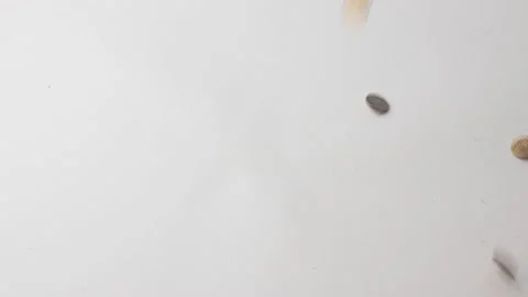 Coins falling on white background Stock Footage 145535123