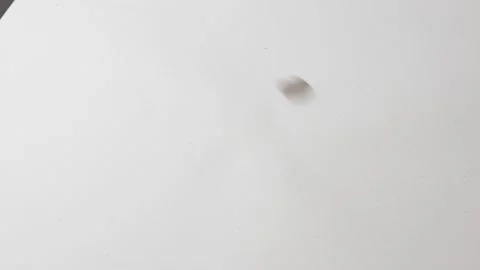 Coins falling on white background Stock Footage 145535231