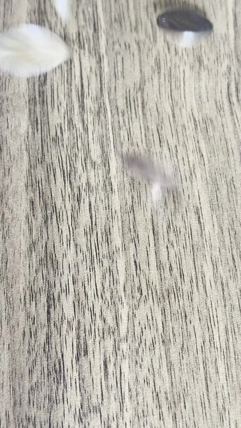 Coins Falling Onto Wooden Table Close-Up Video Stock Footage 303022510