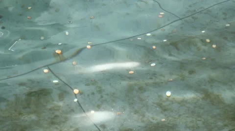 Coins in a fountain. Stock Footage