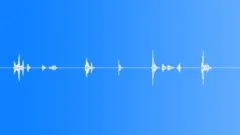 Coins in Hand 1Sound Effect