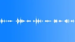 Coins in handsSound Effect