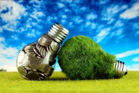 Coins inside the light bulb and green eco light bulb with grass. Renewable .. Stock Photos