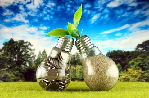 Coins inside the light bulb on the grass and plant growing inside the light.. Stock Photos