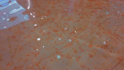 Coins lie scattered at the bottom of a tranquil fountain wishes and luck Stock Footage 323729671
