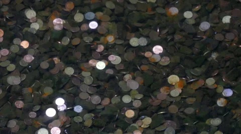 Coins in the pond bottom. Stock Footage 67287011