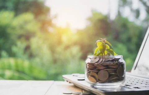 Coins put in glass and stack coins with laptop for growing business and tax s Stock Photos