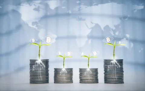 Coins stack and leaf with Bitcoin icon of business connect on nature backgrou Stock Photos