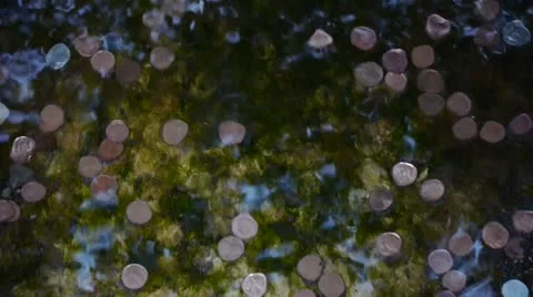 Coins In Stream Video stock 10729666
