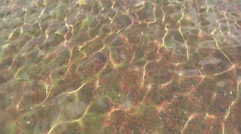 Coins In The Water 2 Video stock 7130286