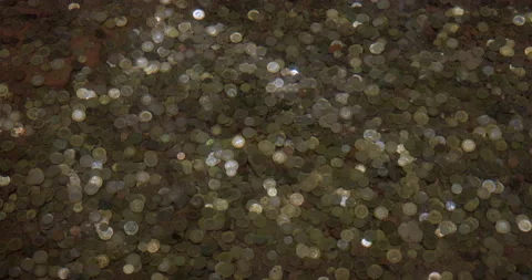 Coins water Vidéo 217372998