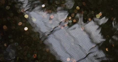 Coins in water with reflections Stock Footage 126638867