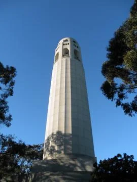 Coit Tower and surrouinding trees in San Francisco Stock Photos