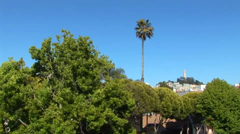 Coit Tower Stock Footage 27877417