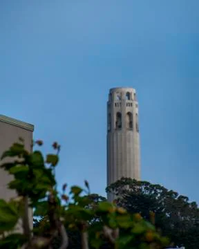 Coit Tower Stock-Fotos