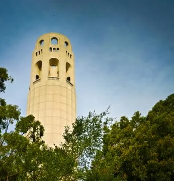 Coit tower Stock Photos