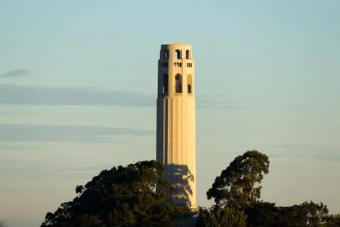 Coit Tower Stock Photos
