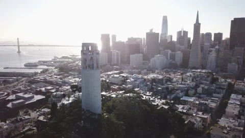Coit Tower San Francisco Stock Footage 130983855