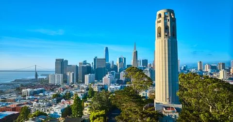 Coit Tower surrounded by trees with San Francisco downtown in background aerial Stock Photos