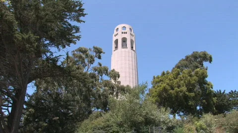 Coit Tower through trees Stock Footage 270691
