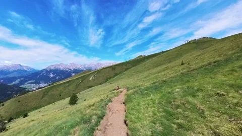 Col Valvacin - Buffaure - Sas d Adam - Italy Stock Footage 314125463