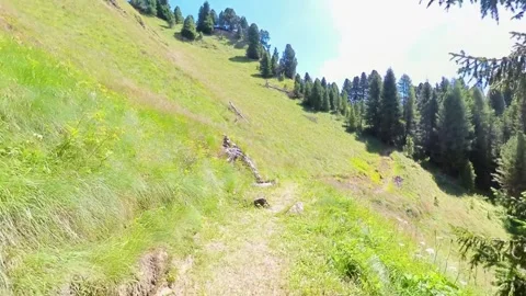 Col Valvacin - Buffaure - Sas d Adam - Italy Stock Footage 314125516