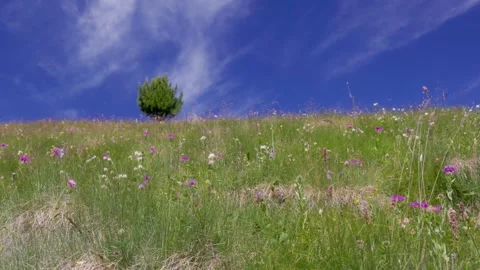 Col Valvacin - Buffaure - Sas d Adam - Italy Stock Footage 314171983