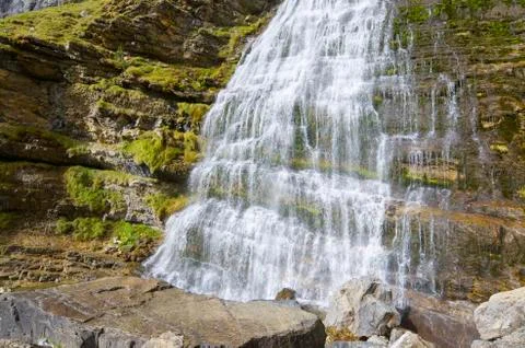 Cola de caballo Foto stock